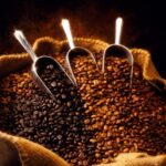 RhoadsRoast Select, Premium Light/Medium Fresh Roasted Coffees, Whole Bean (Mexican El Mezcal Micro Lot Coffee Beans, 5 pounds)